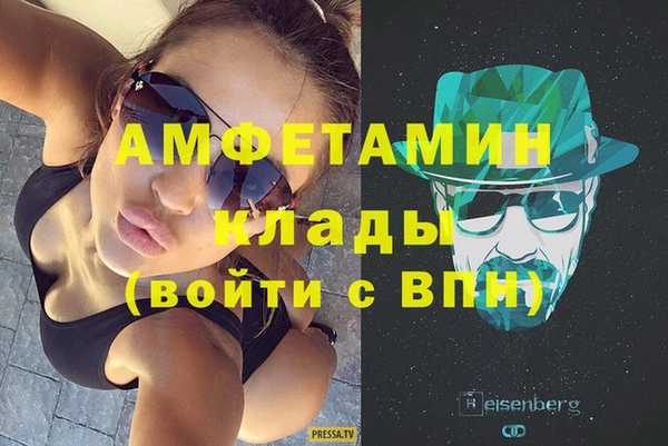 индика Горнозаводск