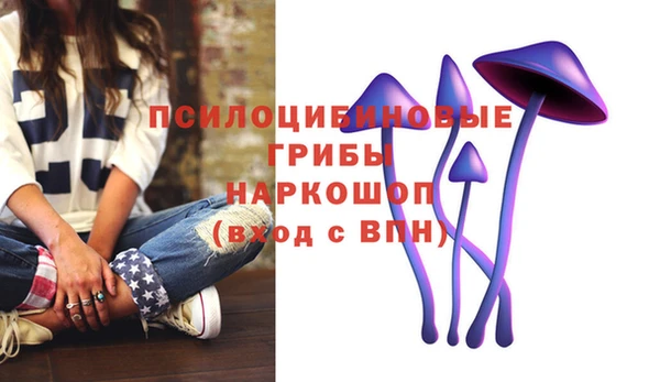 тгк Горняк