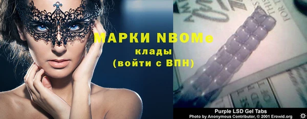 индика Горнозаводск