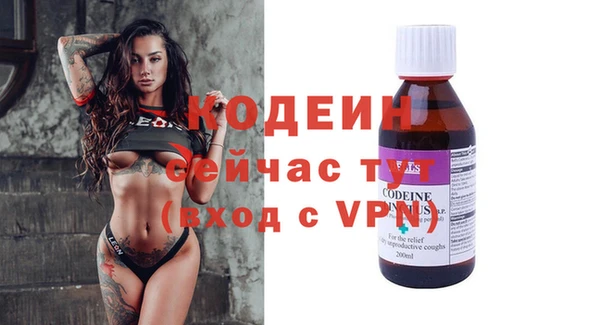 индика Горнозаводск