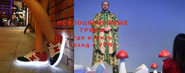 спиды Горно-Алтайск