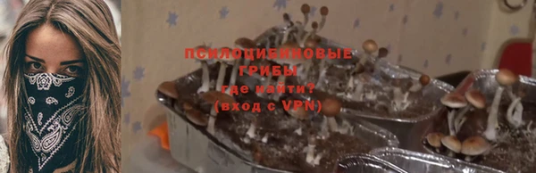 индика Горнозаводск