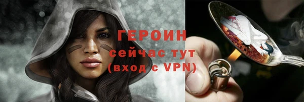 индика Горнозаводск