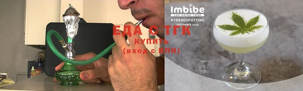 индика Горнозаводск