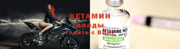 индика Горнозаводск