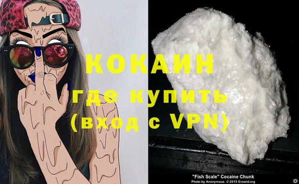 индика Горнозаводск