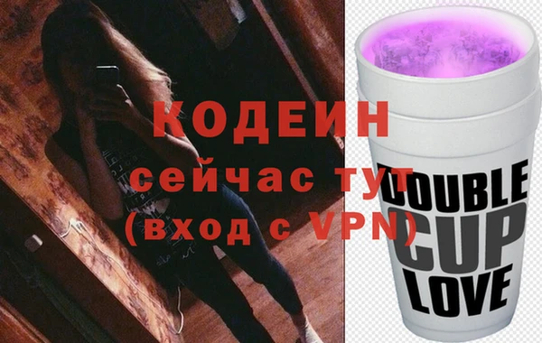 индика Горнозаводск