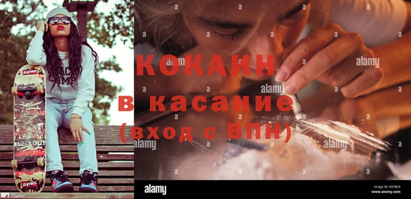 индика Горнозаводск