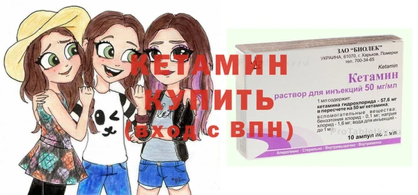 индика Горнозаводск