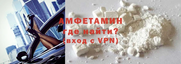 индика Горнозаводск