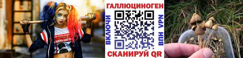 Псилоцибиновые грибы прущие грибы  наркотики  Уссурийск 